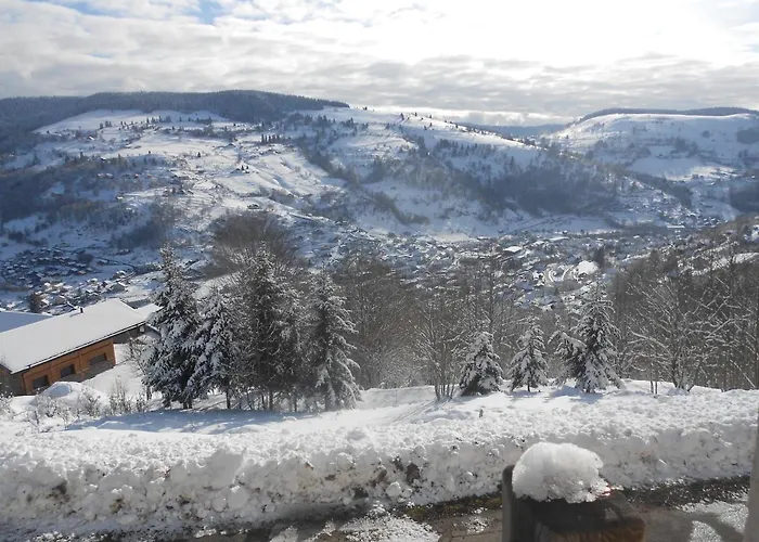 Apartmán Bouton D Or La Bresse