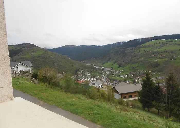 Bouton D Or La Bresse